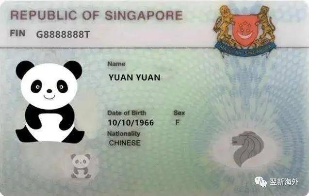 新加坡签证费用，新加坡签证费用2023？