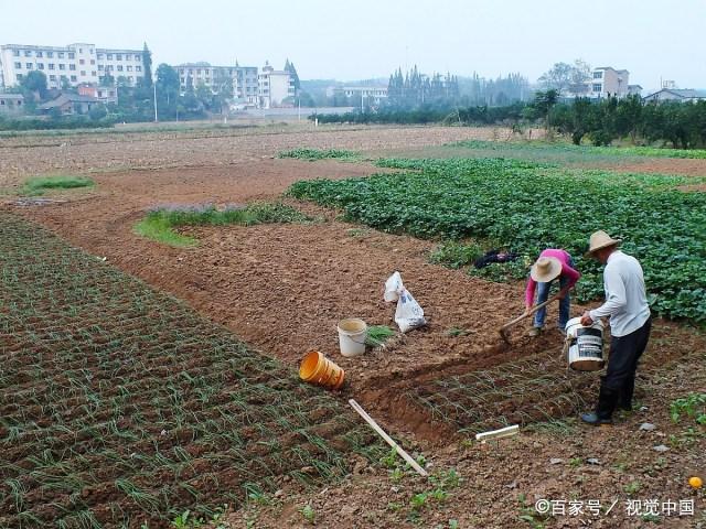 农村土地现在多少钱一亩，农村土地多少钱一亩出卖？