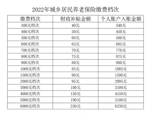 养老保险新政，养老保险新政策2023年可以补交吗