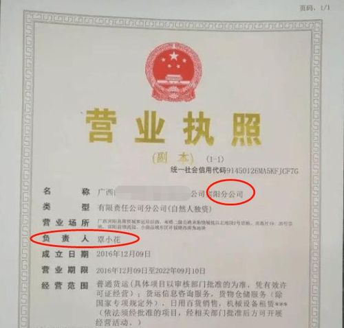 公司办理执照，公司办理执照需要财务人有风险吗！