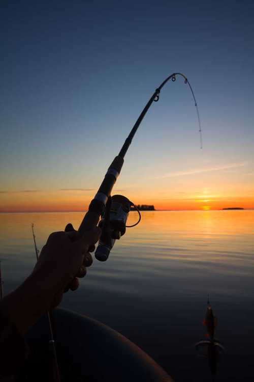 如何优雅的拿着钓鱼工具去钓鱼，如何准备钓鱼渔具？