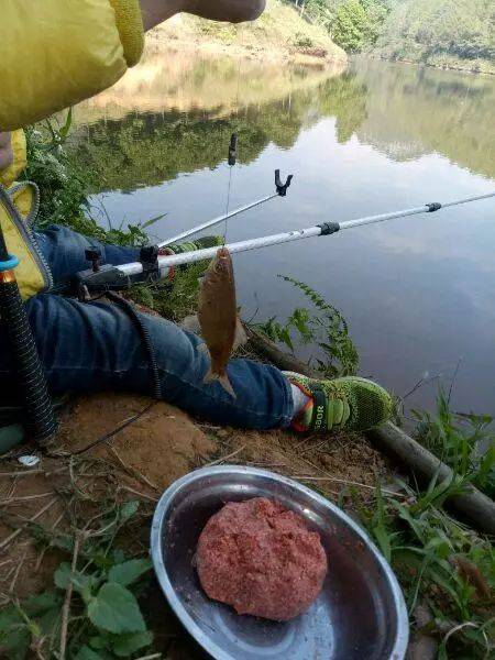 如何做自动钓鱼，自动鱼钓的制作
