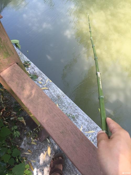 如何自制竖条钓鱼，怎样自制钓鱼竿的视频教程