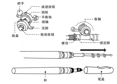 钢笔鱼竿如何钓鱼如何组装？钢笔鱼竿线组安装示意图？