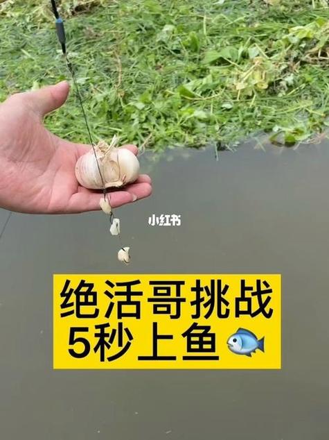 钓鱼加蒜如何？钓鱼加蒜如何做？