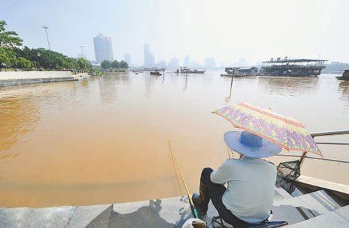 河流涨水如何下网钓鱼，河面涨水钓鱼！