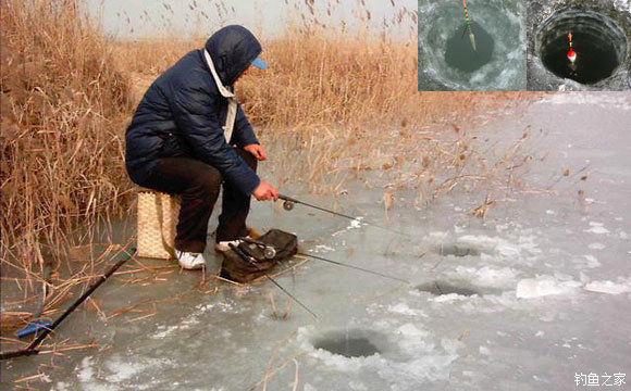 入冬后天冷如何钓鱼，入冬后怎么钓鱼？