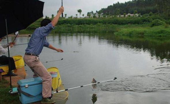 如何钓鱼钓野塘，如何钓鱼钓野塘鱼视频！