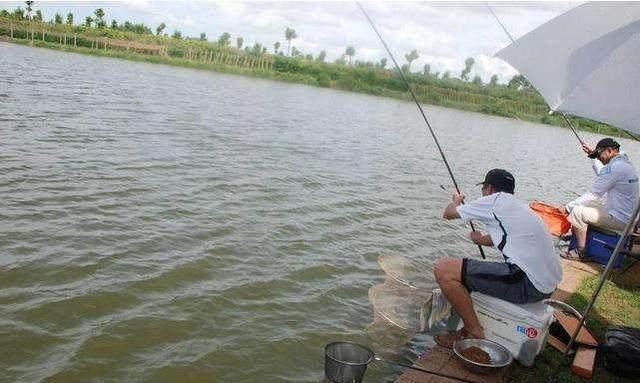 如何使用活鱼钓鱼，活水钓鱼技巧