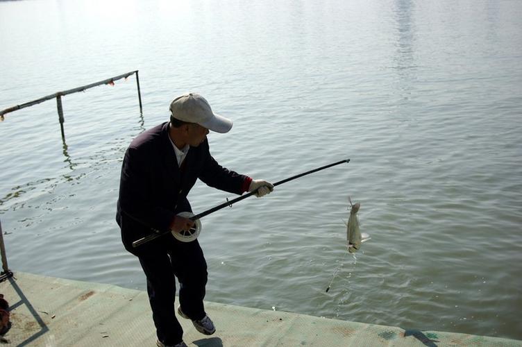 香港钓鱼技术如何落后，香港哪里有鱼钓！