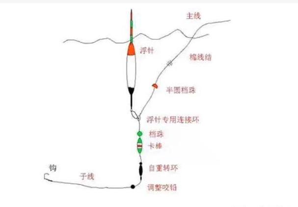 钓鱼如何查看水域参数，钓鱼怎么知道水的深度