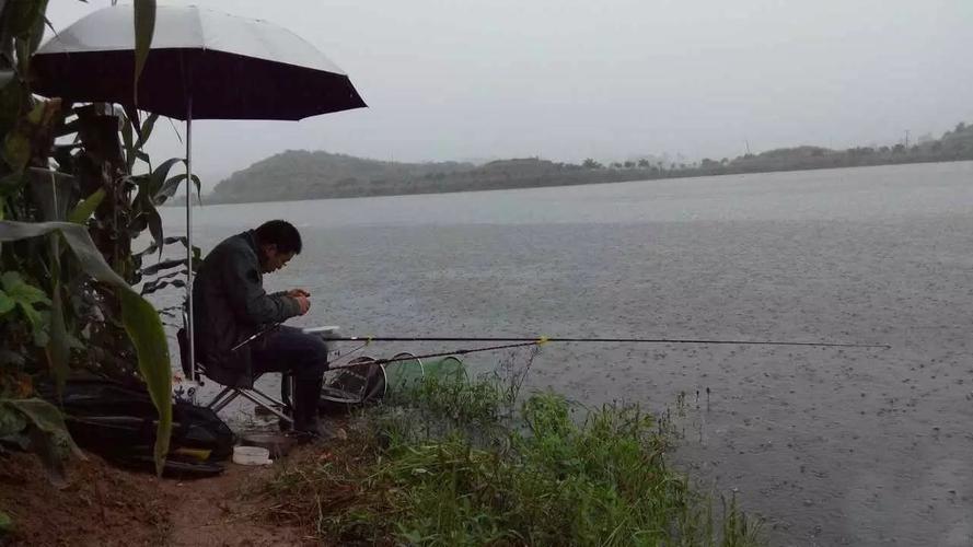 下雨天如何去钓鱼池钓鱼，下雨天如何去钓鱼池钓鱼视频！