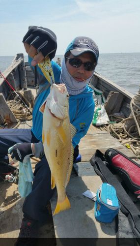 黄海浅海如何钓鱼的，黄海深海鱼！