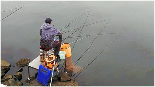 气温特降如何钓鱼，气温骤降怎么钓鱼