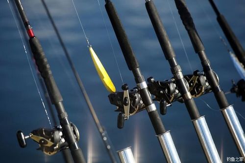 便宜新鱼竿如何钓鱼，便宜新鱼竿如何钓鱼呢？