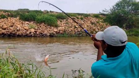 河里的水如何钓鱼，河里的水如何钓鱼视频？