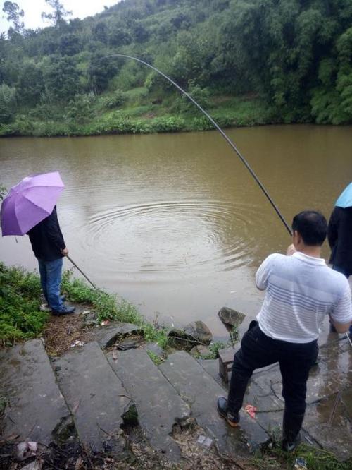 中雨过后如何钓鱼？下完雨后怎么钓鱼？