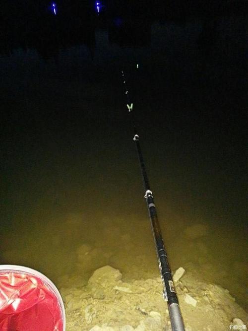 如何夜晚钓鱼在线直播，夜间钓鱼技巧