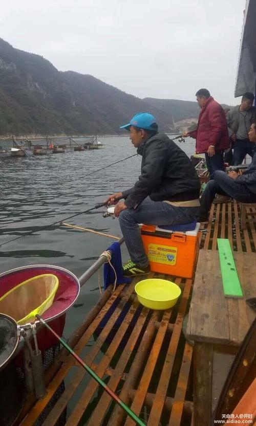 丹江口如何钓鱼，丹江口水库野钓