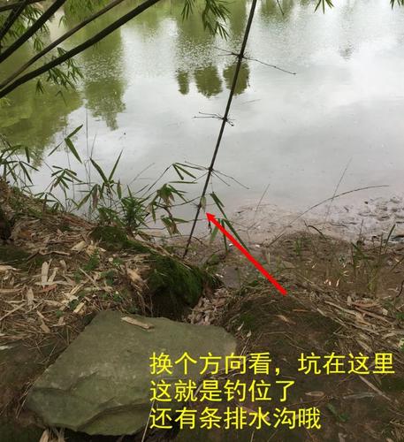在小河钓鱼如何找位置钓鱼，如何在小河钓大鱼？