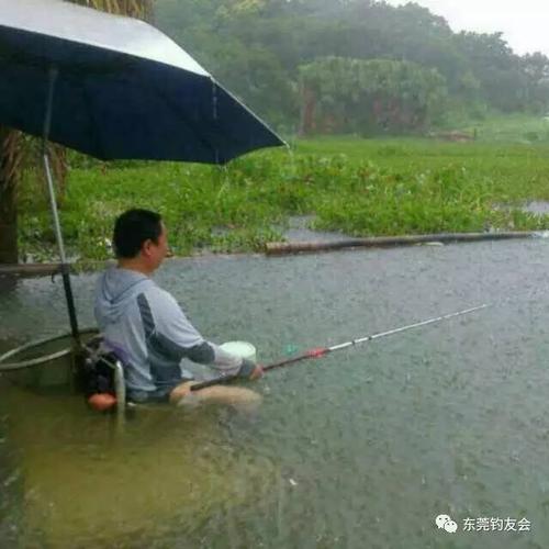 暴雨天气如何钓鱼，大暴雨钓鱼