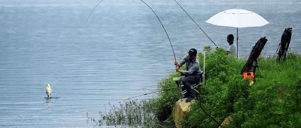 大雨过后如何钓鱼？大雨过后如何钓鱼最佳？