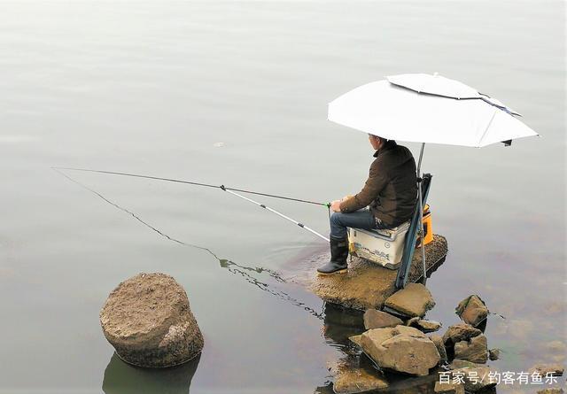 上海走水如何钓鱼视频？上海野钓水库？