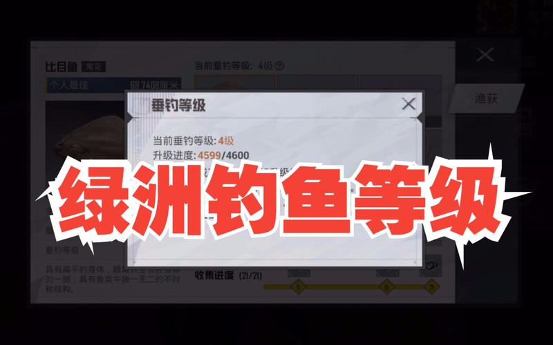 绿洲如何提升钓鱼等级，绿洲怎么升级版本