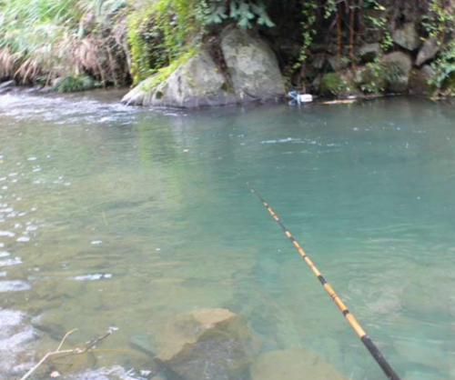 河道急速排水如何钓鱼？河道急流怎么钓鱼？