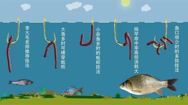 钓鱼如何挂饵料蚯蚓，怎么挂蚯蚓钓大鱼