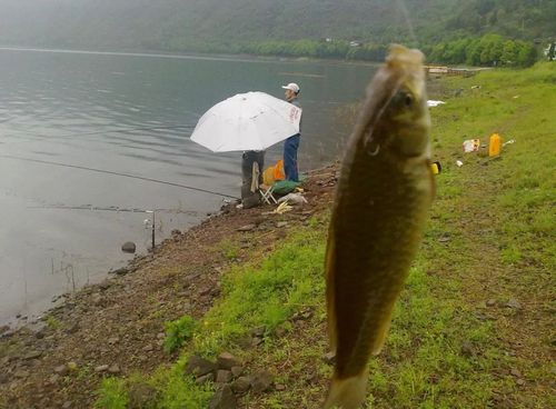 夏季如何找大鱼钓鱼，夏季如何找大鱼钓鱼的地方！