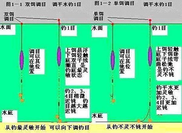 钓鱼漂如何调目，怎么调浮漂目数