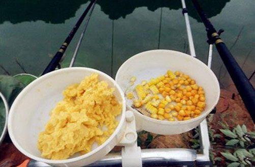 秋季如何用玉米钓鱼，秋季钓鱼玉米饵料制作？