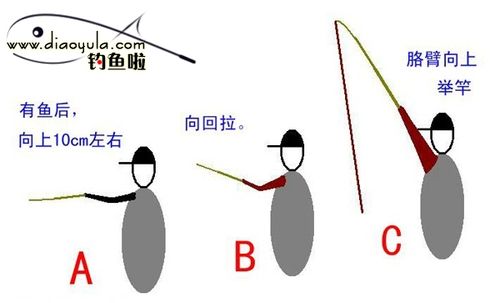 钓鱼如何快速出竿头，钓鱼如何快速出竿头视频？