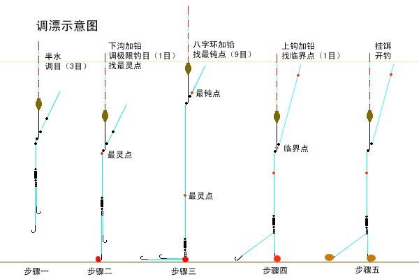 初学钓鱼如何选鱼漂，钓鱼新手如何选漂？