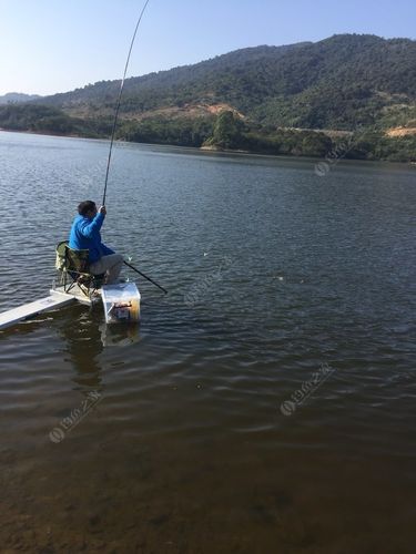 沃背水库钓鱼如何，惠阳沃背水库鱼情怎样?