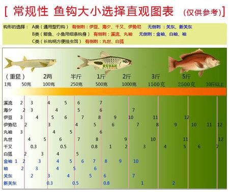 如何选择垂钓鱼钩，垂钓钓位的选择