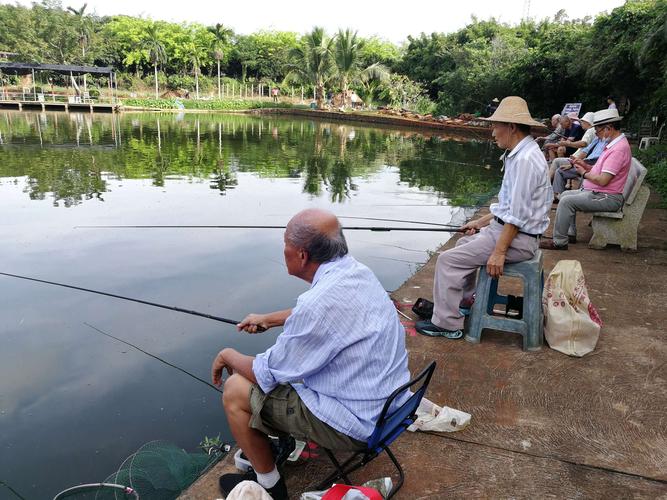 老年人如何钓鱼，一位老人钓鱼饵料的绝密配方