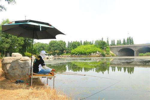 炎热夏天午后如何钓鱼，炎热夏天午后如何钓鱼呢？