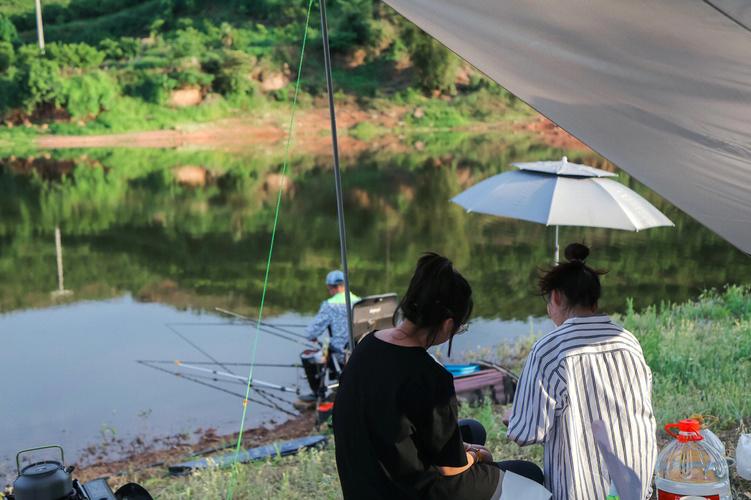 如何在河边露营钓鱼，如何在河边露营钓鱼视频