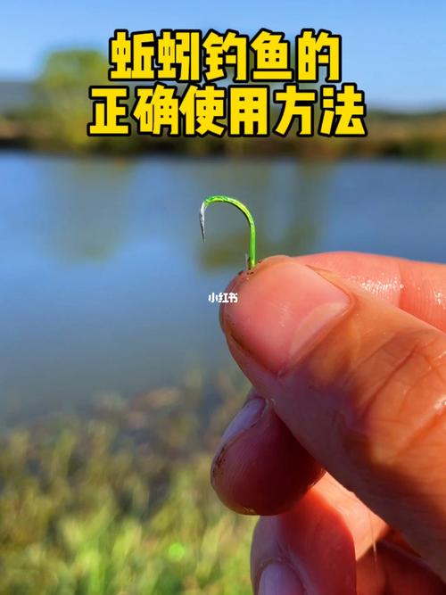蚯蚓如何用来钓鱼，使用蚯蚓钓鱼的六个技巧