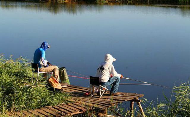 如何在大河边钓鱼，河边野钓小技巧？