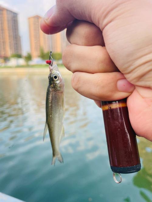 钓鱼如何更快上鱼，钓鱼要怎么钓鱼才上钩的快