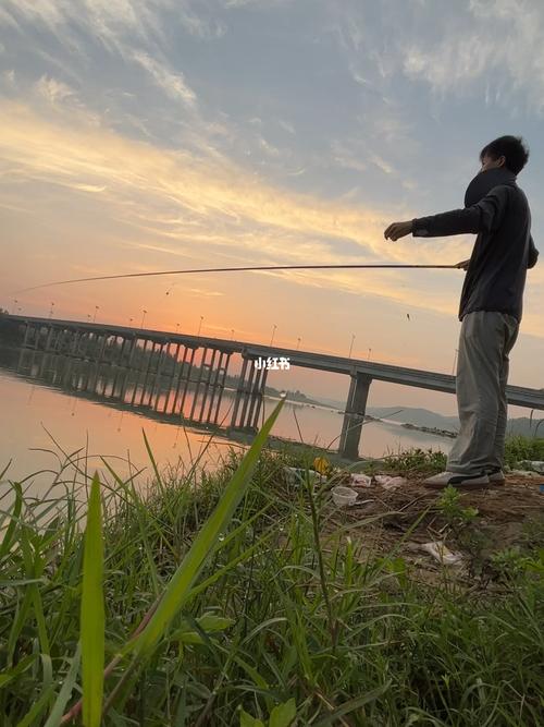 如何成为钓鱼达人，怎么让钓鱼成为职业?