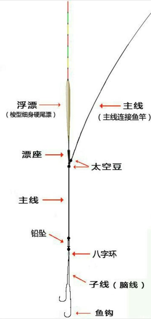 钓鱼如何选配线组，钓鱼如何选配线组图片？