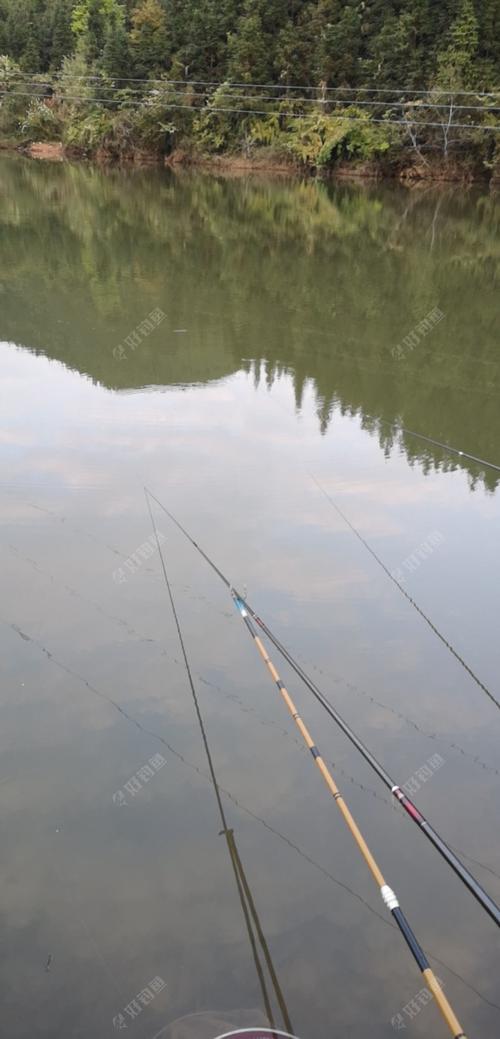 如何钓鱼起杆慢，钓鱼怎么起竿才能钓到鱼呀