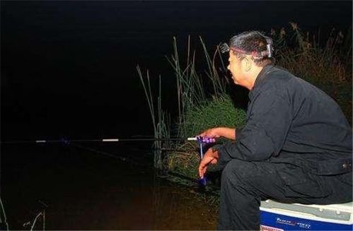 晚上钓鱼如何钓，晚上钓鱼怎么钓！