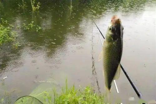 雨天钓鱼如何找底，雨天钓底有鱼吗！