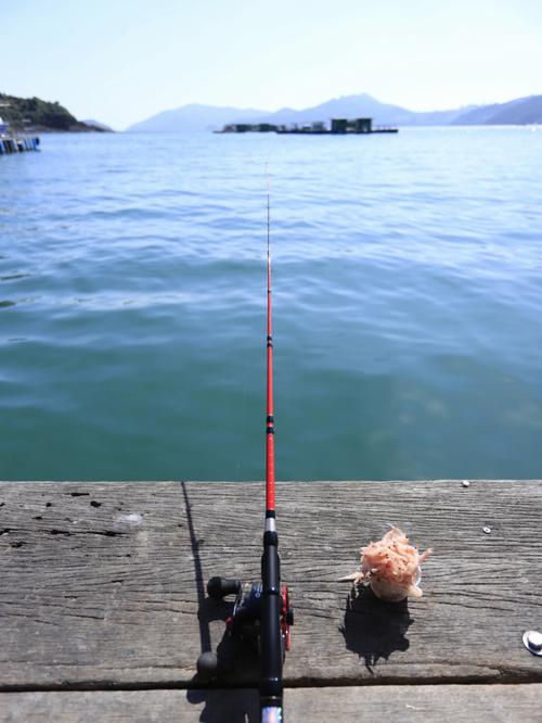 如何找鱼排钓鱼，鱼排钓鱼视频教程