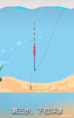 钓鱼视频如何打开浮漂？怎样钓浮视频直播？